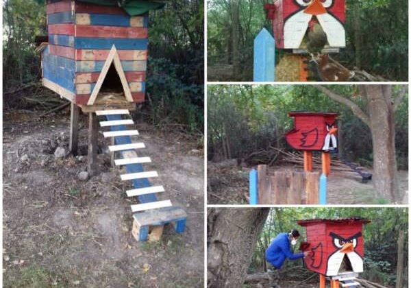 angrybird-chicken-coop