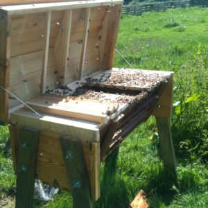 1001pallets.com-how-i-made-my-top-bar-beehive-from-pallets