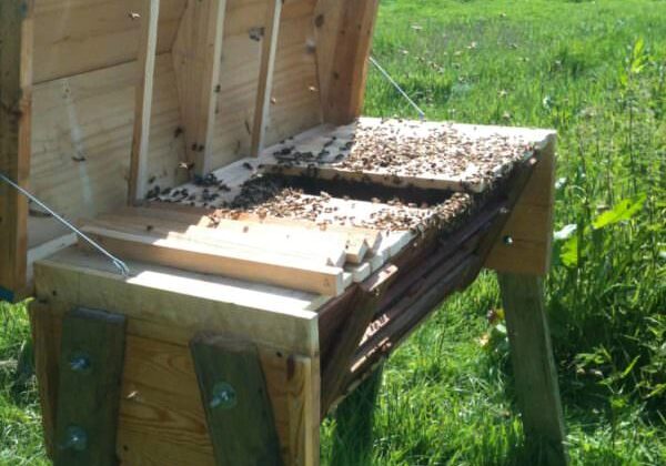 1001pallets.com-how-i-made-my-top-bar-beehive-from-pallets