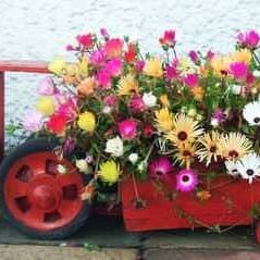 66143e404255ba3229d9ad9cbc5b33dd