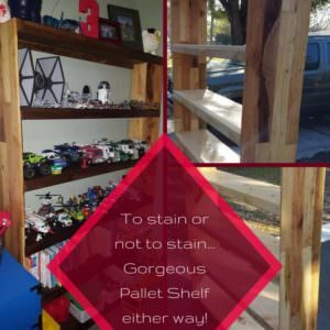 1001pallets.com-two-tone-pallet-display-shelf-doubles-as-bookshelf-02