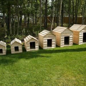 dog-house-size