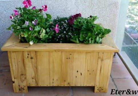 11659287_1622768984658766_988981938061166652_n