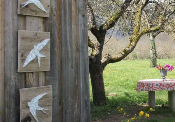 17546916_406388476391239_5863368337020140768_o