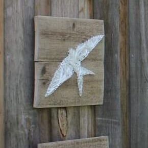 17546916_406388476391239_5863368337020140768_o