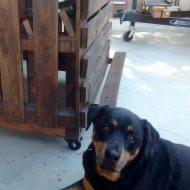 User Other Pallet Projects 