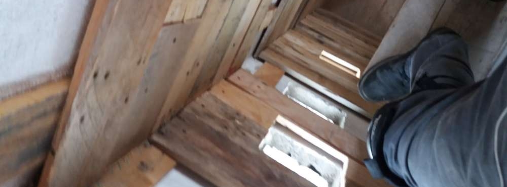 User Other Pallet Projects 